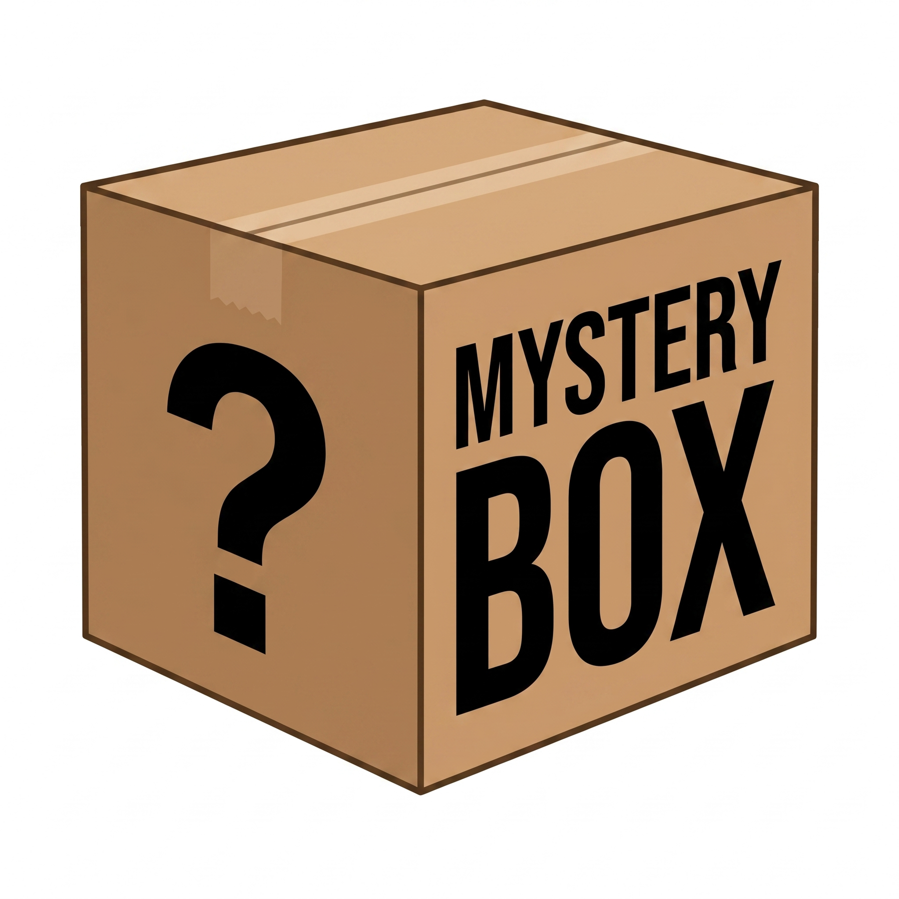Lucy's Special Mystery Box